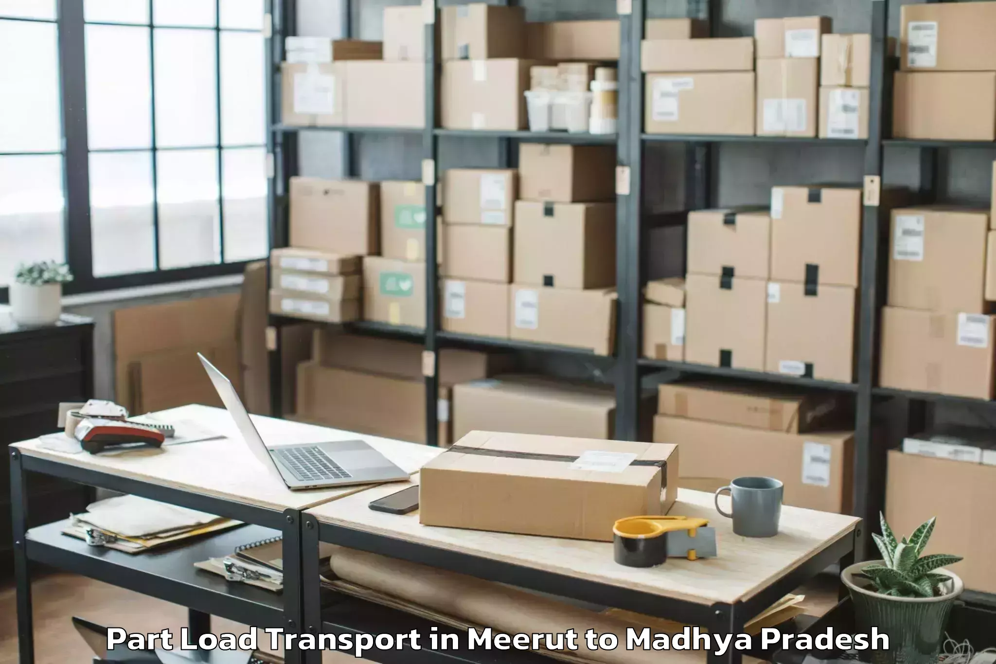 Reliable Meerut to Raghogarh Part Load Transport